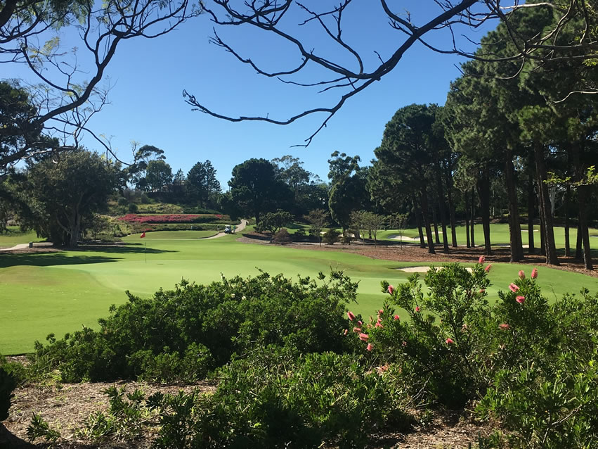 <h2>2018 New Zealand & Australia Golf Cruise</h2>13 Nights | 5-6 Rounds | Auckland to Sydney | February 22 – March 7